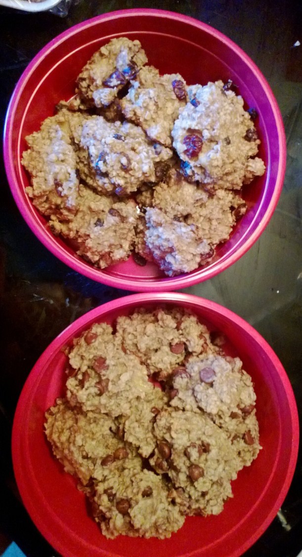 Chocolate chip and cinnamon craisin