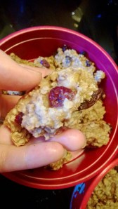 Cinnamon craisin close-up