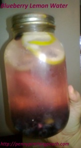 Blueberry Lemon Infused Water