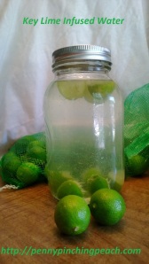 Key Lime Infused Water
