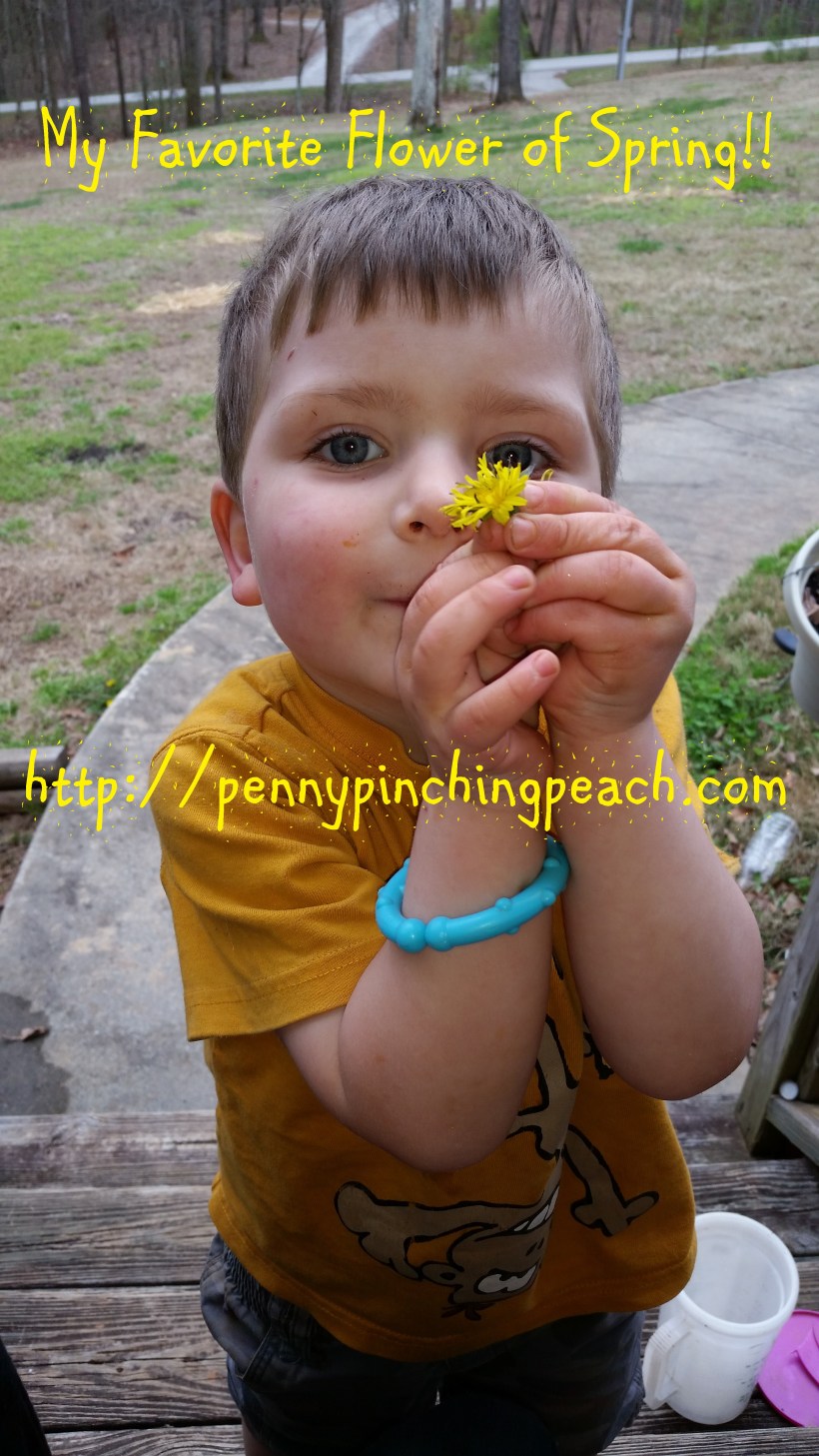 Sweet Smiles of Spring!