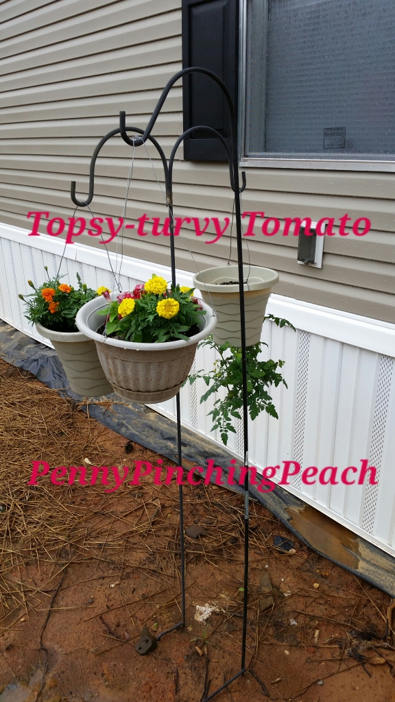 DIY Topsy Turvy Tomato and Friends