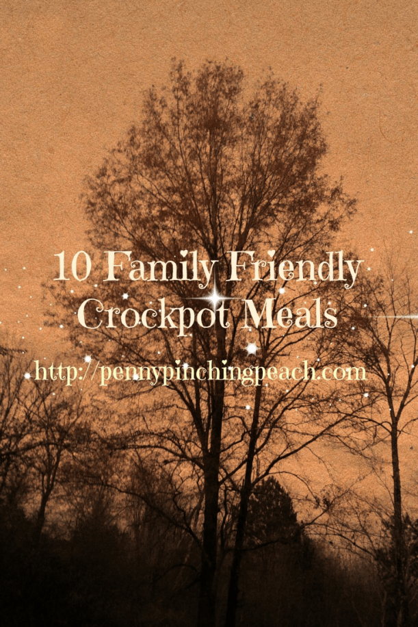 10 Family Friendly Crockpot Meals
