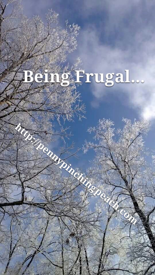 2018-01-04 15.21.27.jpg